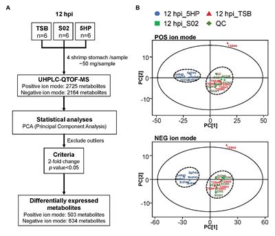 Metabolic Alterations in Shrimp Stomach During Acute Hepatopancreatic Necrosis Disease and Effects of Taurocholate on Vibrio parahaemolyticus